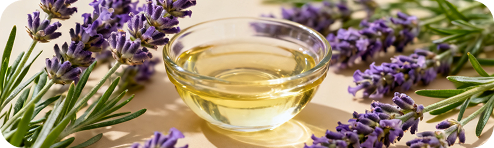 Lavandula Angustifolia (Lavender) Oil