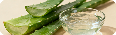 Aloe Barbadensis Leaf Extract